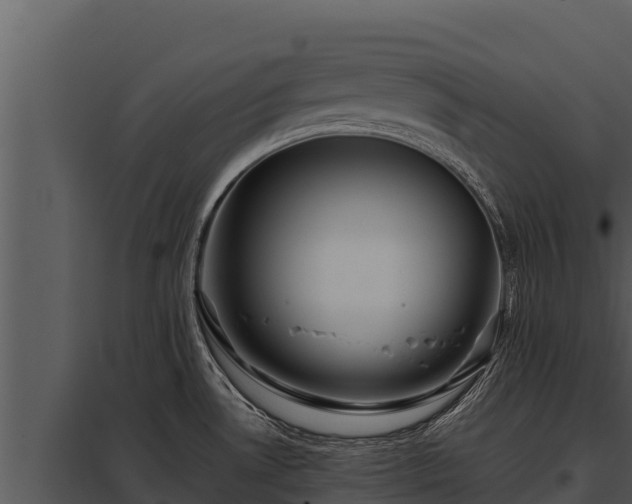 X0000097961530200804011646