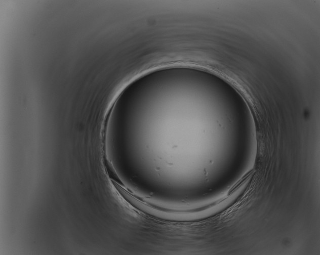 X0000097961532200804011646