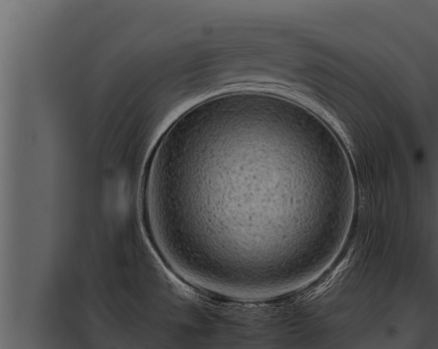 X0000097961533200804011646
