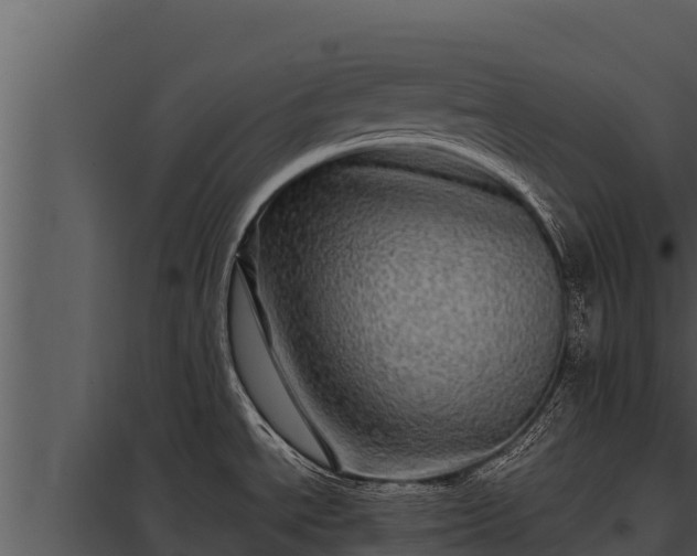 X0000097961534200804011646