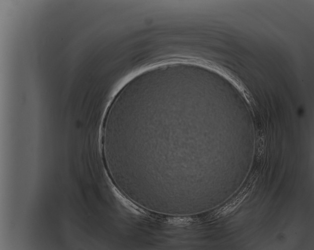 X0000097961535200804011646