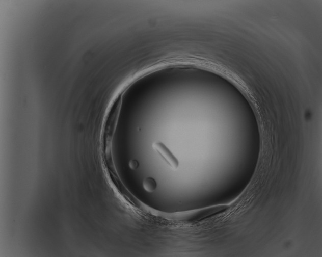 X0000097961536200804011646