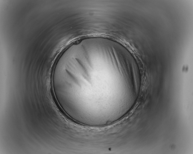 X0000097960002200804071044