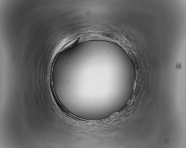 X0000097960003200804071044