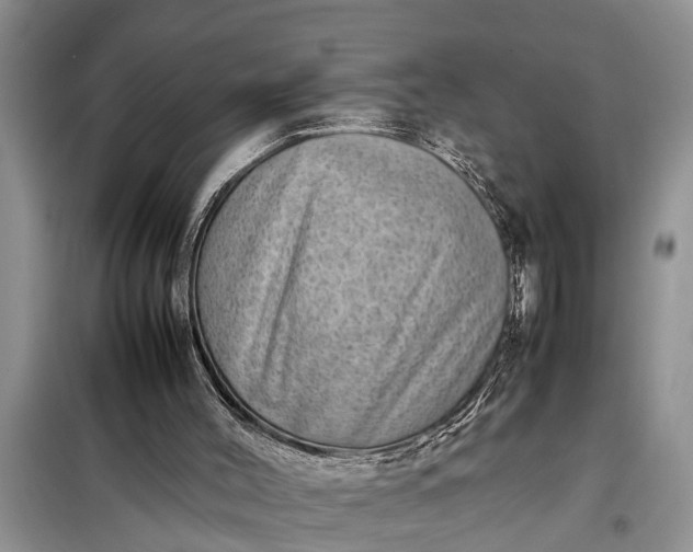 X0000097960004200804071044