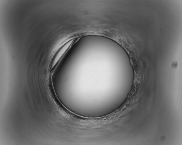 X0000097960005200804071044