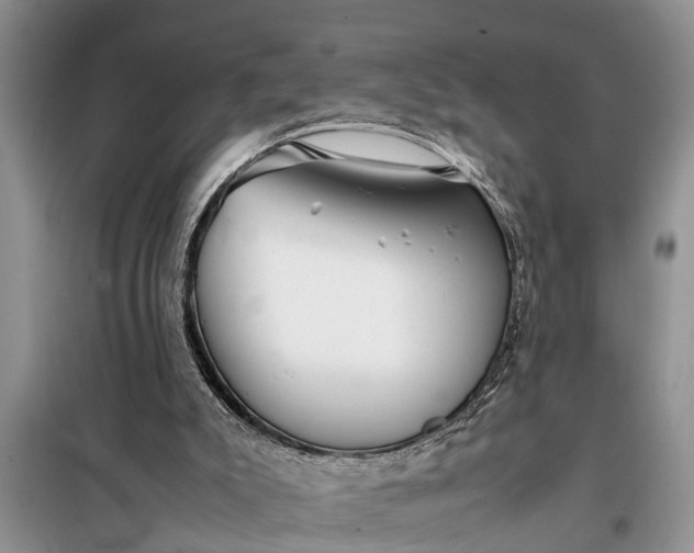 X0000097960007200804071043