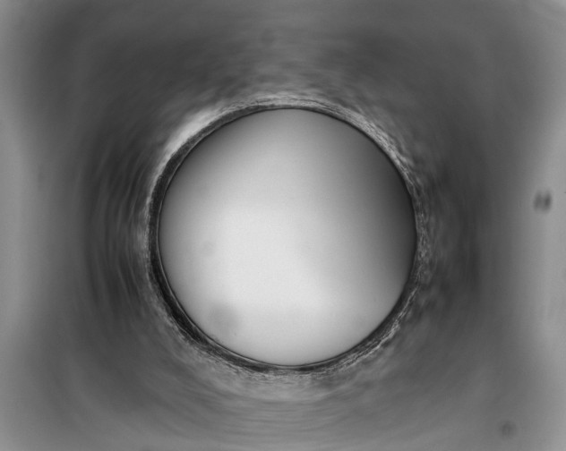 X0000097960008200804071043