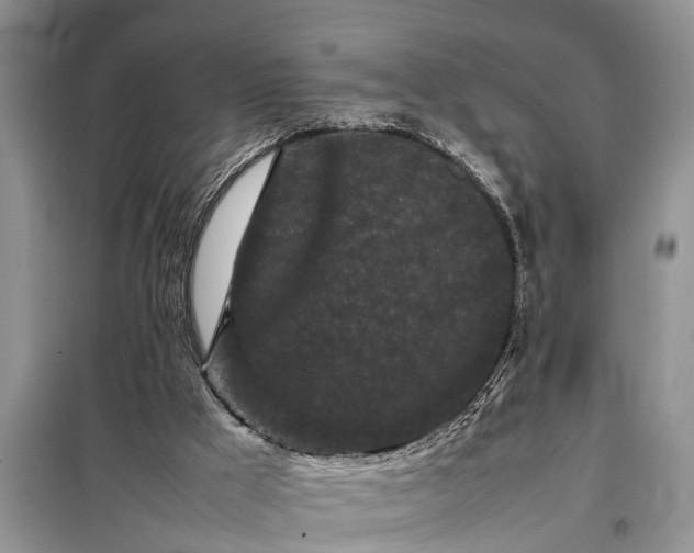 X0000097960009200804071043