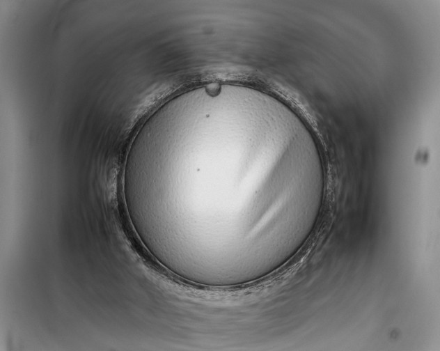 X0000097960010200804071043