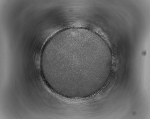 X0000097960012200804071043
