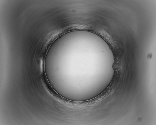 X0000097960014200804071043