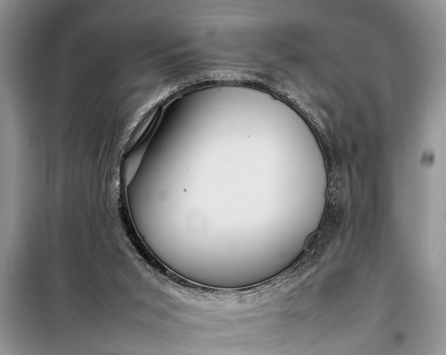X0000097960015200804071043