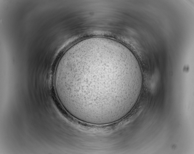 X0000097960016200804071043