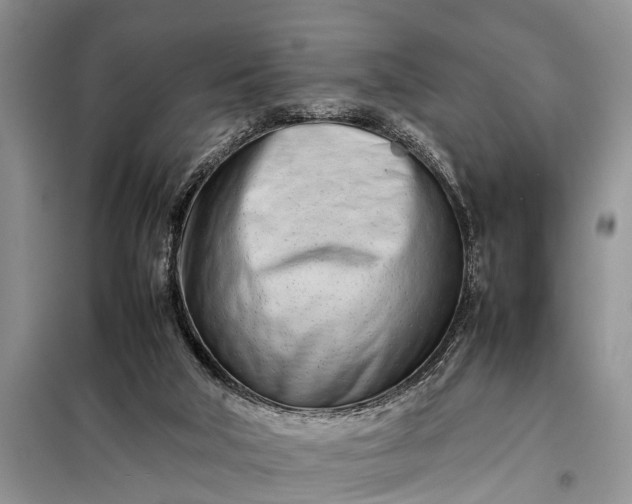 X0000097960018200804071043