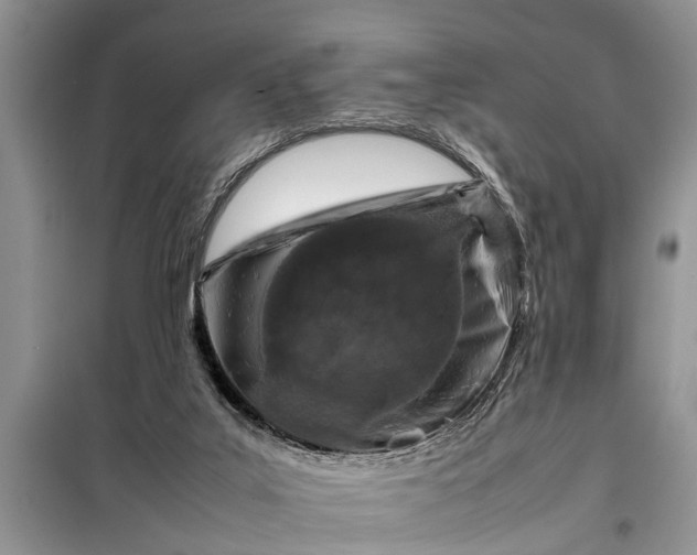 X0000097960019200804071043