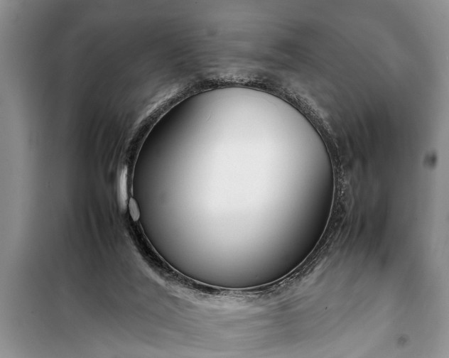X0000097960020200804071043
