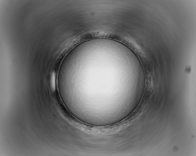 X0000097960022200804071043