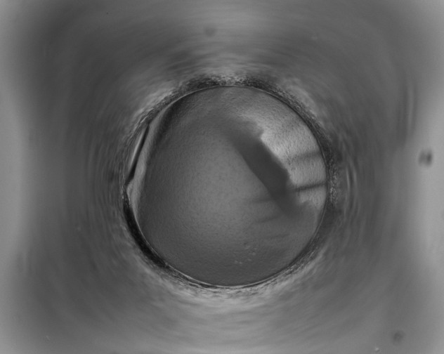 X0000097960023200804071043