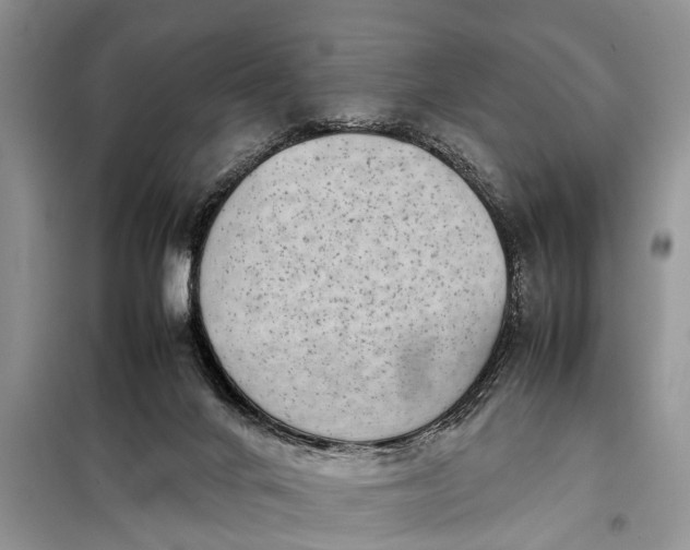 X0000097960024200804071043