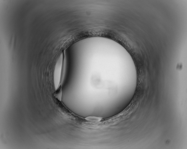 X0000097960025200804071043