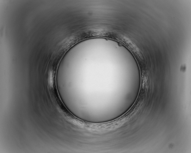 X0000097960026200804071043