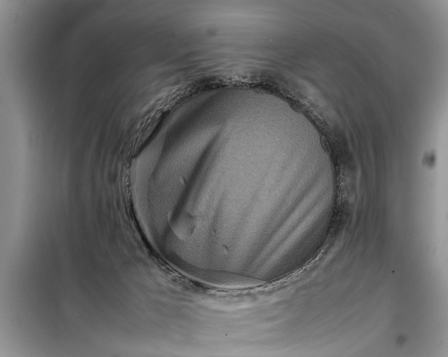 X0000097960029200804071043