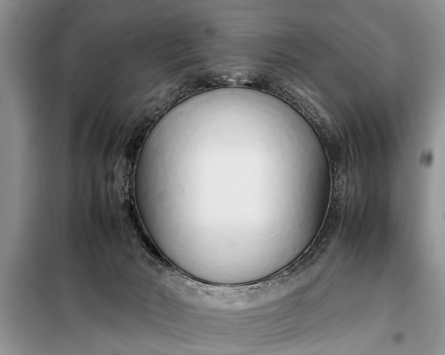X0000097960030200804071043