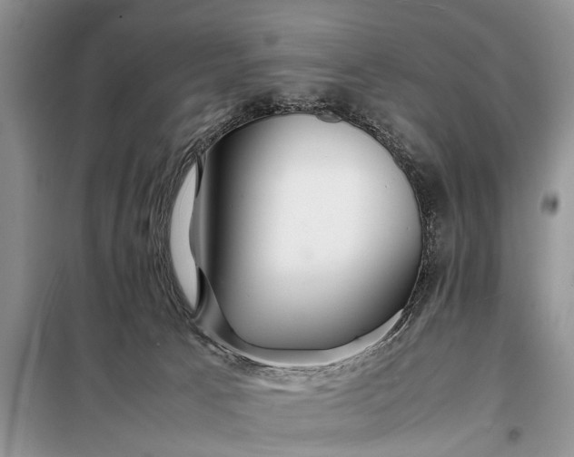 X0000097960033200804071043