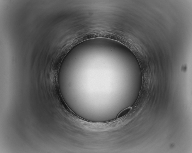 X0000097960034200804071043