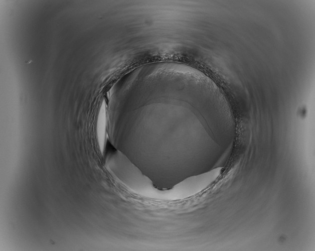 X0000097960039200804071043