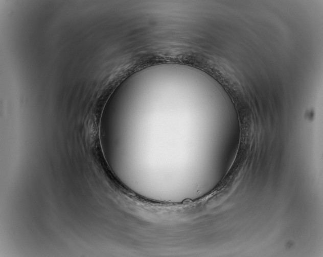 X0000097960040200804071043