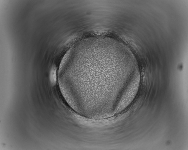 X0000097960042200804071043