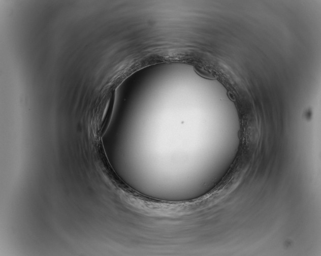 X0000097960044200804071043