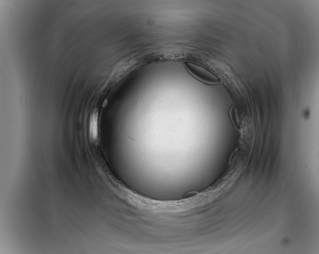 X0000097960046200804071043