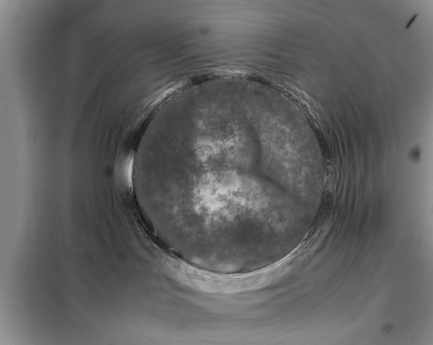 X0000097960047200804071043