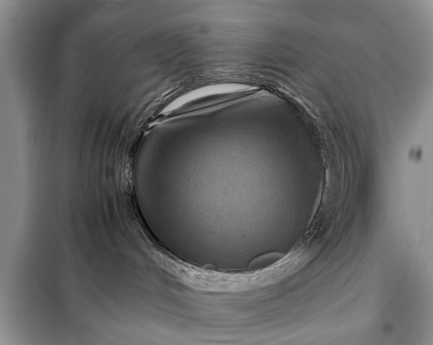 X0000097960048200804071043
