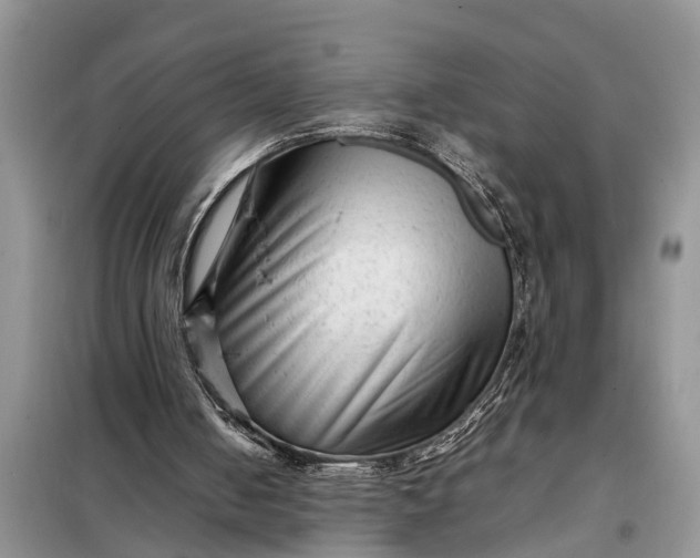 X0000097960050200804071042