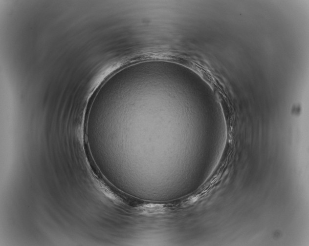 X0000097960052200804071042