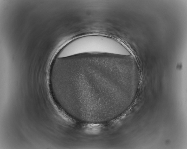 X0000097960055200804071042