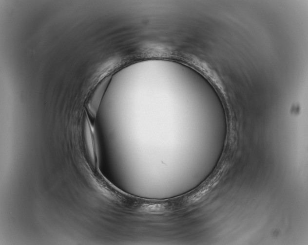 X0000097960057200804071042
