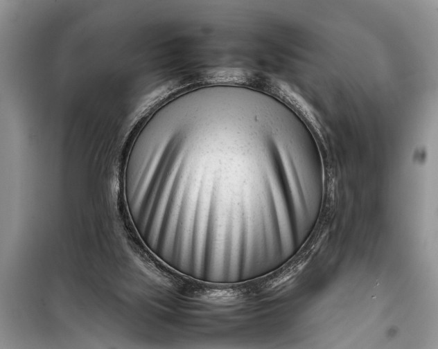 X0000097960059200804071042