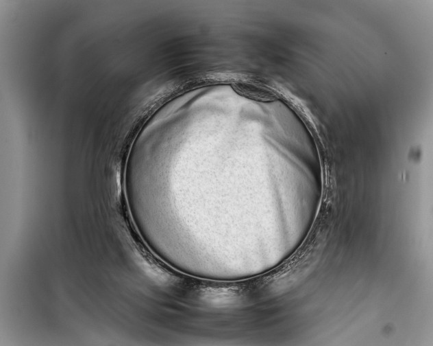 X0000097960061200804071042