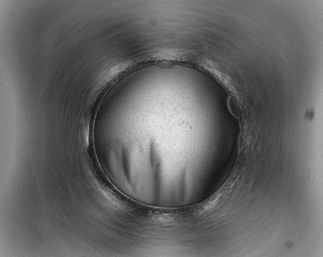 X0000097960062200804071042