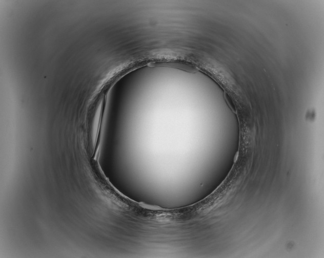 X0000097960064200804071042