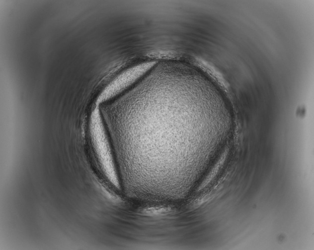X0000097960065200804071042