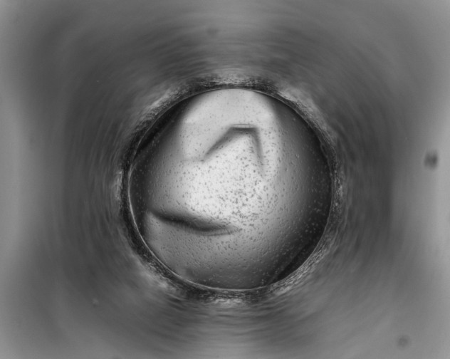 X0000097960066200804071042