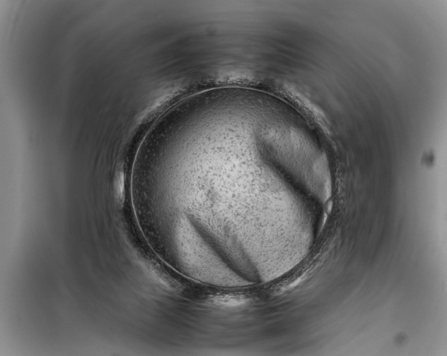 X0000097960067200804071042