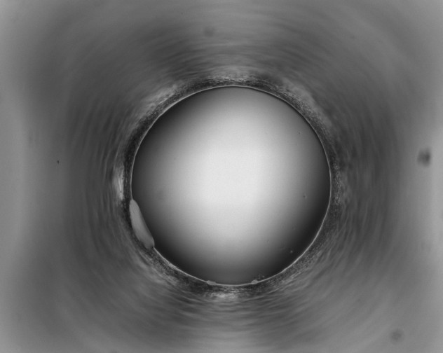X0000097960068200804071042