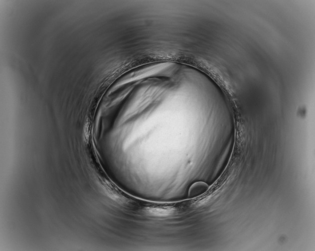 X0000097960069200804071042